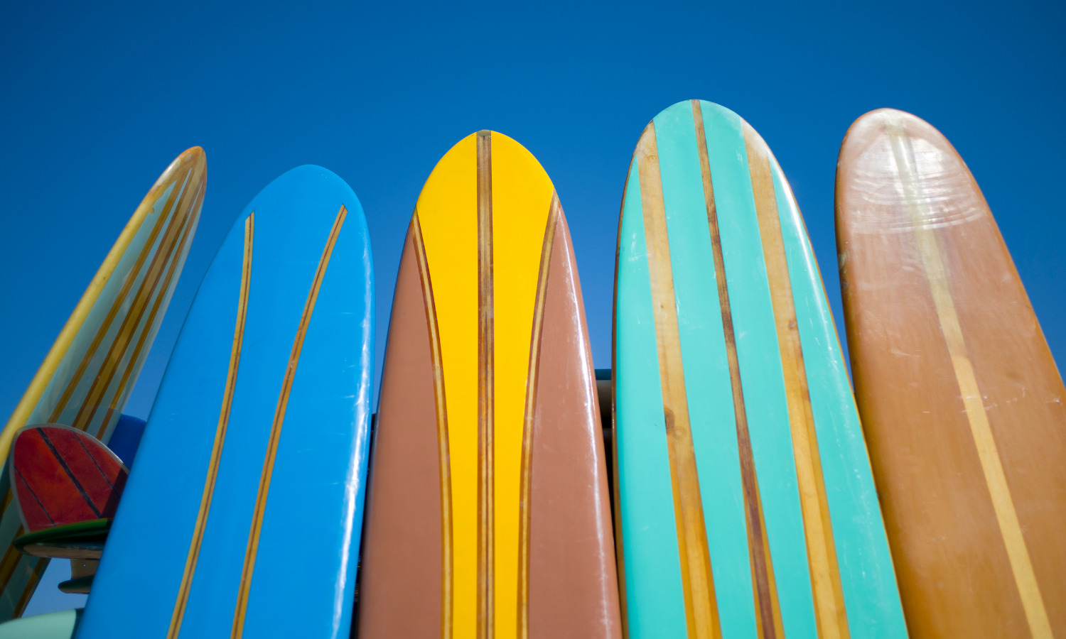 surf boards