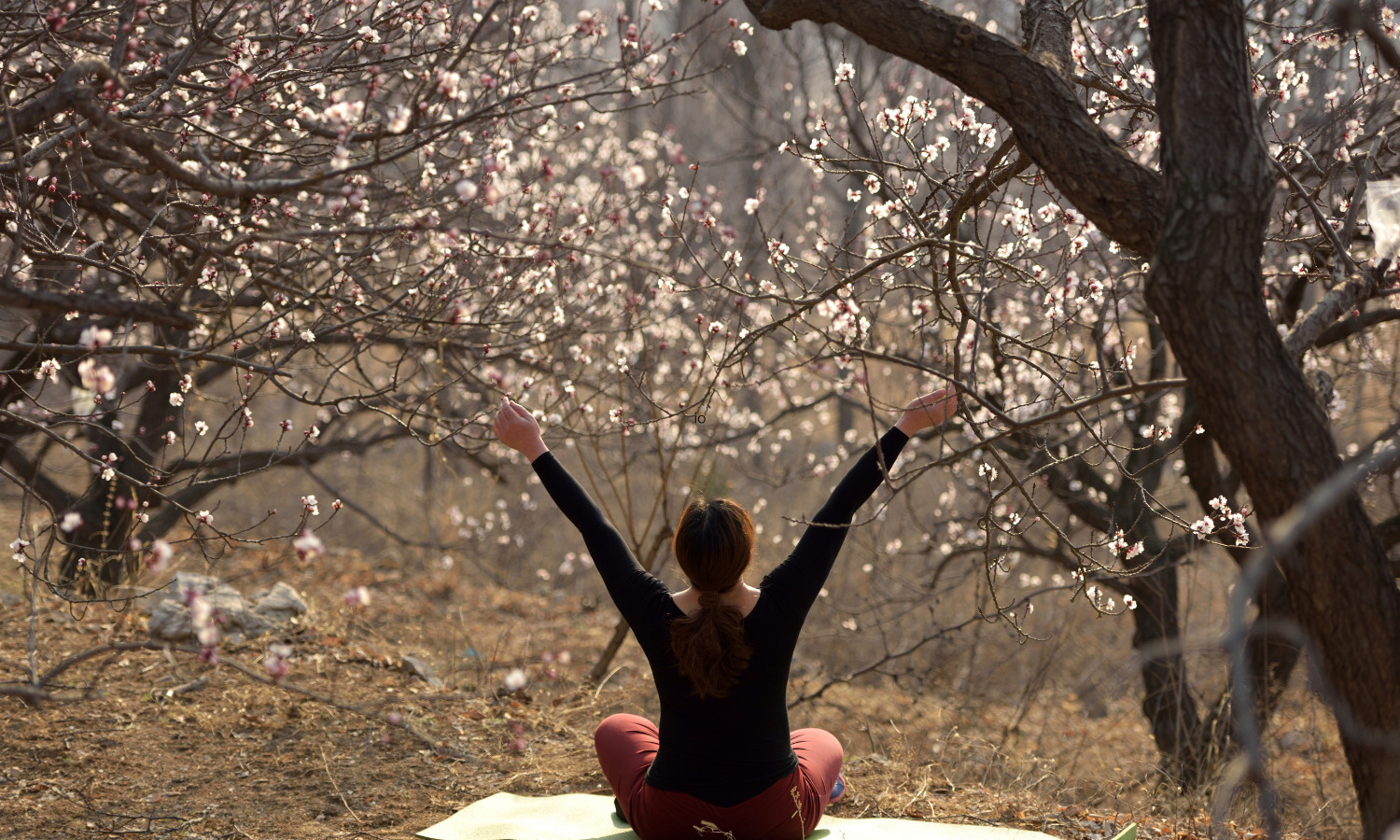 spring yoga