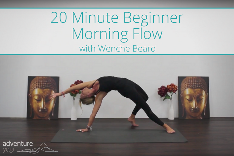 Morning Yoga Flow for Beginners Video