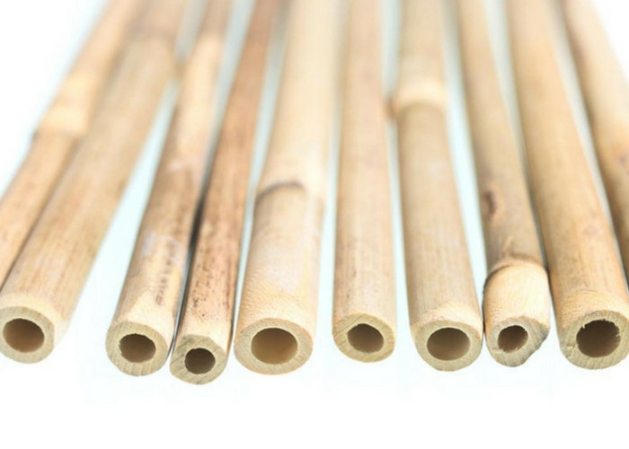 bamboo straws to save the planet