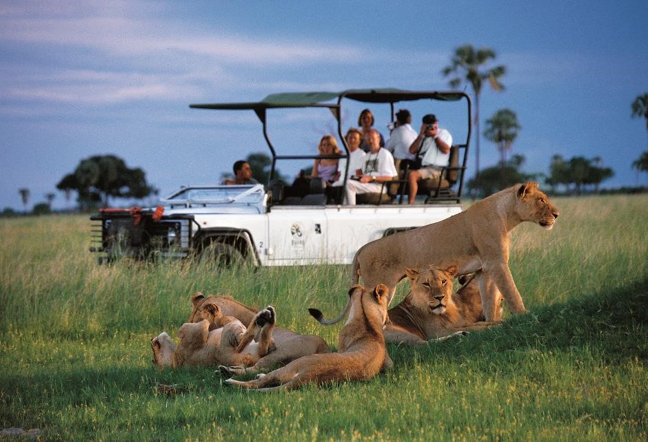 game drive in vehicle safari and yoga holiday