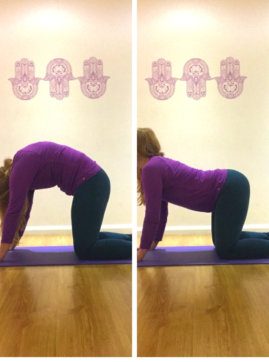 cat-cow-all-fours-arch-back-round-back-yin-yoga-poses-help-burnout