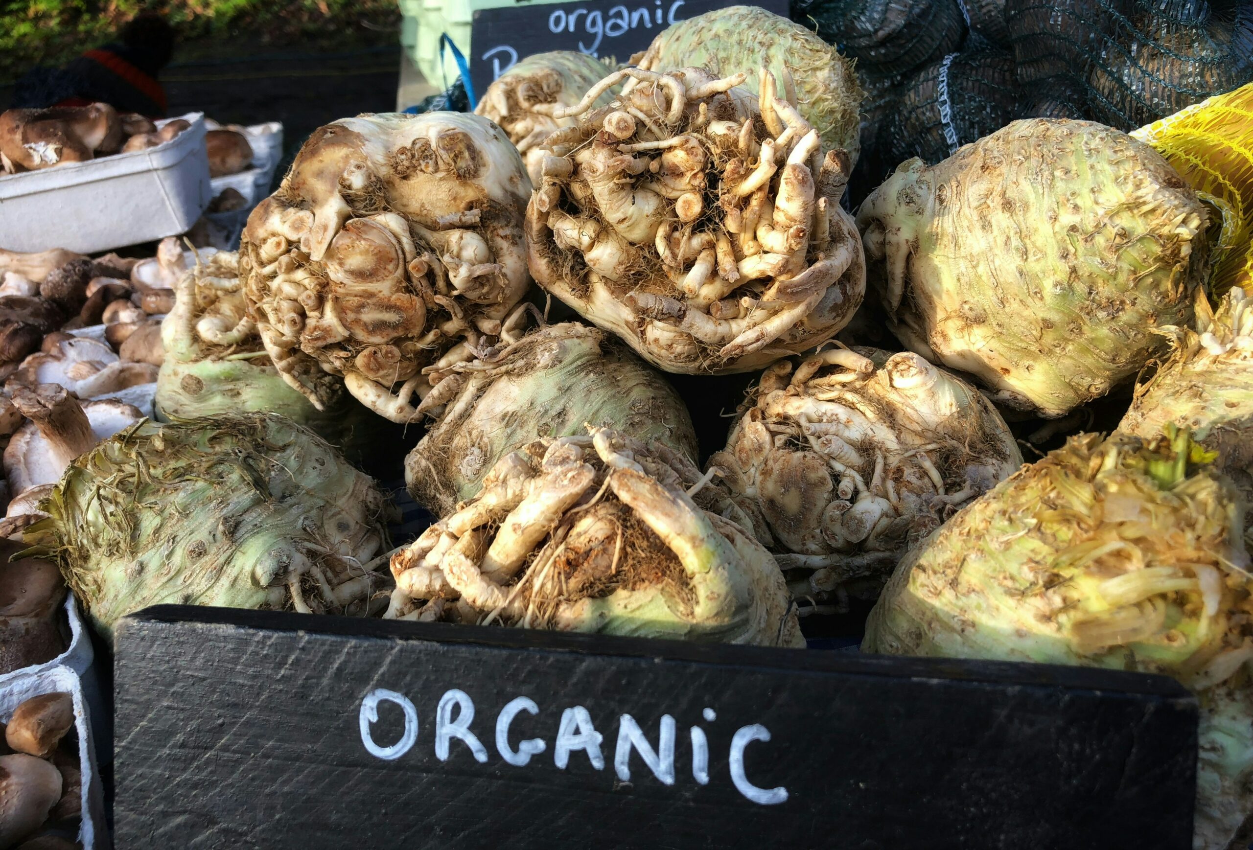 celeriac soup thyme recipe