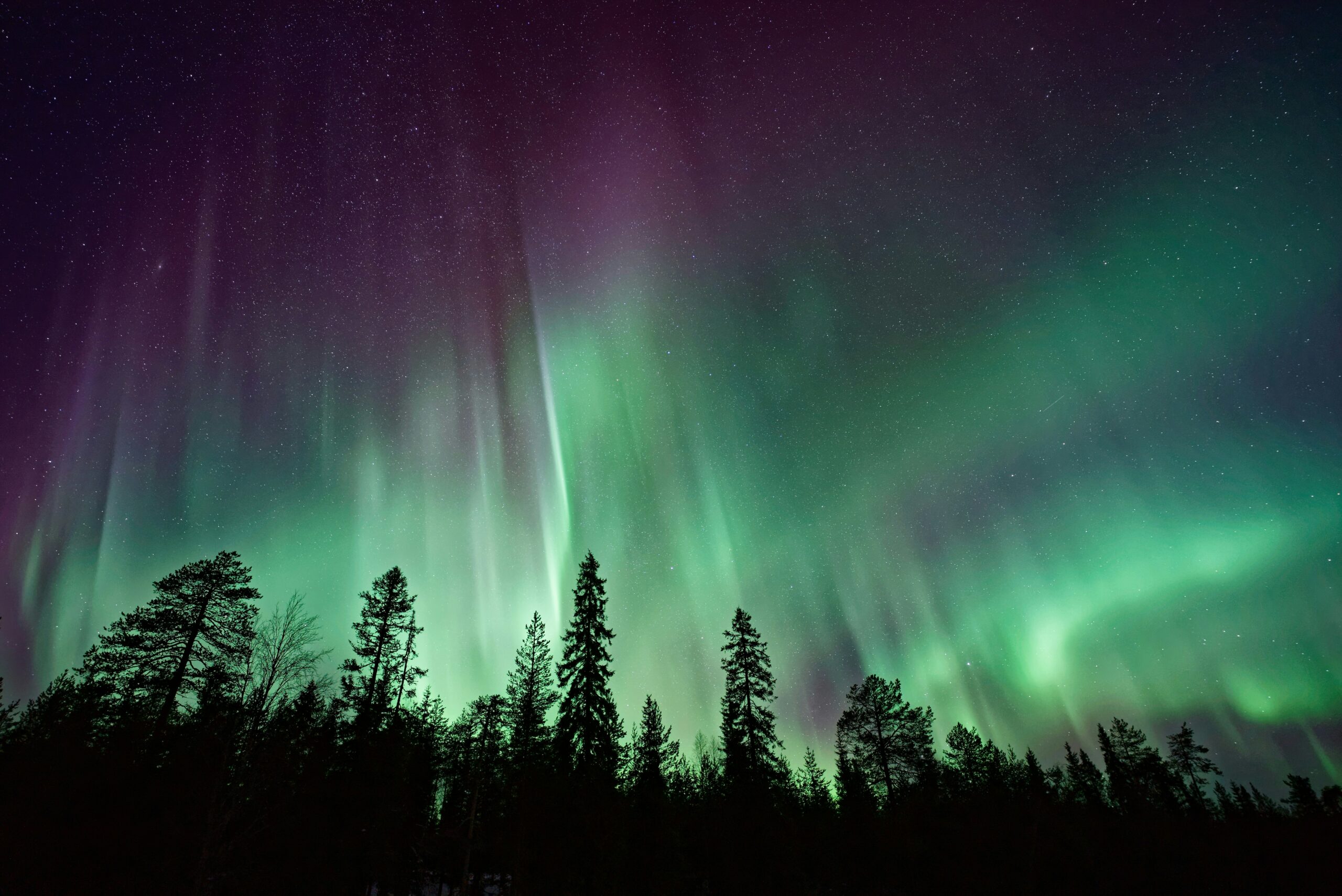 northern lights iceland