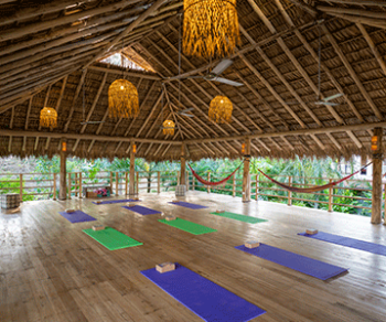 yoga-studio-yoga-mats-on-floor